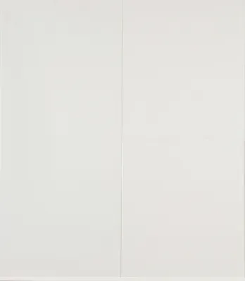 Produktbild von Grosfillex Kunststoffpaneele Element Compact 120 x 37,5 cm 8 mm weiß matt