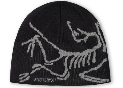 Produktbild von Arc'teryx Bird Head Toque Beanie - Black/Void - X000006756