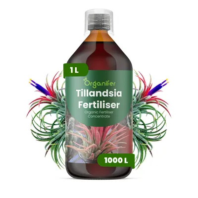 Produktbild von Flüssigdünger Für Tillandsien 1L – 2-1-8 NPK – Flüssig-Pflanzendünger Für Tillandsien – Organifer