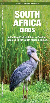 Produktbild von South Africa Birds
