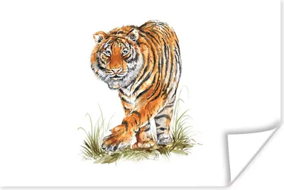 Produktbild von MuchoWow® Poster Tiger - Beine - Weiß 60x40 cm - Schlafzimmerdekoration