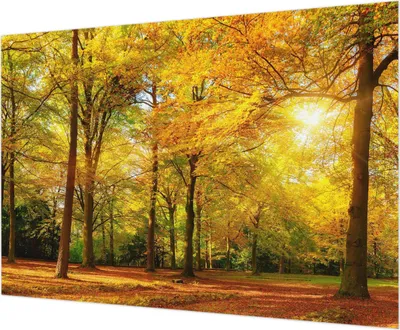 Zdjęcie produktu dla Tapeta ścienna – tapeta dekoracyjna do salonu – folia tapetowa do dekoracji ścian – 312 x 219 cm – złote liście