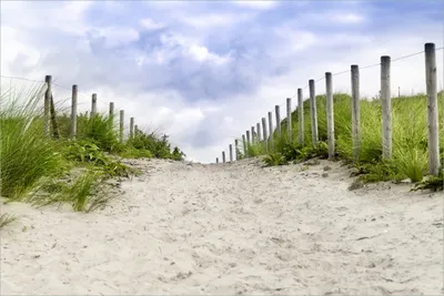 Produktbild von Wallario selbstklebendes Poster - Auf dem Weg zum Strand durch Dünen, Größe: 61 x 91,50 cm
