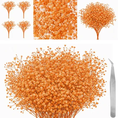 60 getrocknete Schleierkrautblumen orange mit Pinzette für DIY