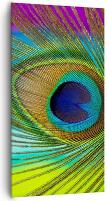 Produktbild von Bild auf Leinwand - Leinwandbild - Einteilig - Pfauen Federn Regenbogen - 65x120cm - Wand Bild - Wanddeko - Wandbilder - Leinwanddruck - Bilder - Wanddekoration - Leinwand bilder - PA65x120-4385