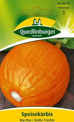 Produktbild von Speisekürbis, Big Max