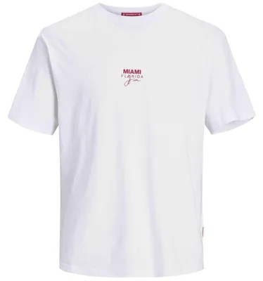 Immagine prodotto di T-shirt Jack&Jones JORARUBA GRADIENT BACK TEE SS da Uomo