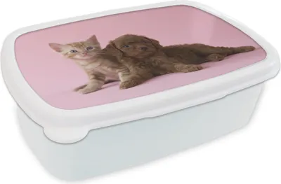 Produktbild von KitchenYeah® Lunchbox Brotzeit Brotdose 17x11 cm Katze - Hund - Rosa Kinder Brotzeitdose - Lunch Box - Kinder - Sandwich-Box - Schulbox - Lunch Boxen
