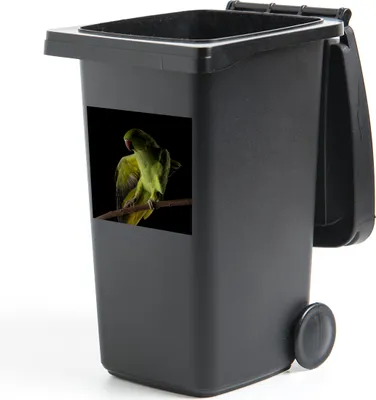 Produktbild von MuchoWow® Mülltonnenaufkleber Papagei - Vogel - Zweig 40x40 cm - Abfall-Aufkleber - Container - für Abfallcontainer