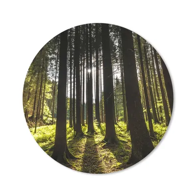 Produktbild von MuchoWow® Mauspad Mousepad Baum - Natur - Sonne - Wald 20x20 cm - Mousepads - Maus Mat - Pad - Mausunterlage - Schreibtischmatte