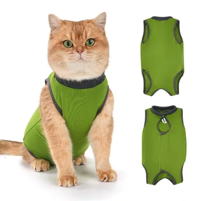 Produktbild von Katzen-Erholungsanzug, atmungsaktiv und bequem, Schutz nach Operationen, grüne Farbe (Größe L)