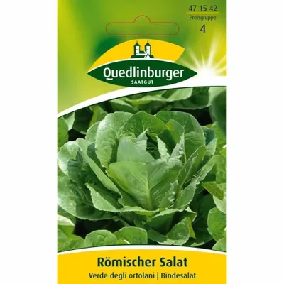 Produktbild von Quedlinburger Saatgut - Römischer Salat Verde degli ortolani - Samen - 471542