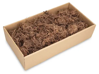 Curly Moos im Naturton, ca. 500 g ungefärbte Tamarindenfaser
