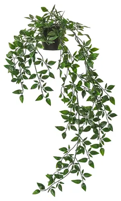 Produktbild von IKEA.. 403.495.31 Künstliche Topfpflanze, 9 cm, hängend – Zum Aufhängen, Größe 9cm
