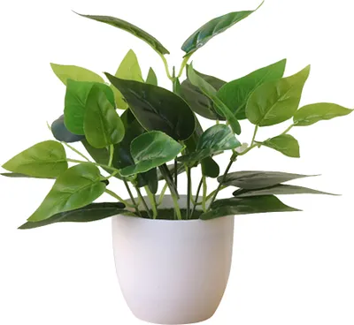Produktbild von Frische künstliche Laubpflanze Topf Bonsai Hochzeitsdekor-(2)