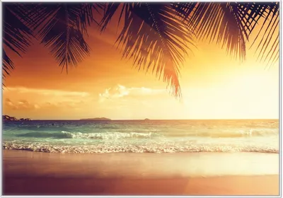Produktbild von Wallario Wandbild Sonnenuntergang am Strand in der Karibik, Größe: 70,30 x 100,30 cm, Poster mit weißem Kunststoffrahmen