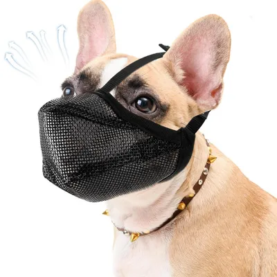 Produktbild von Maulkorb für Hunde, atmungsaktiv, verstellbar, mit Klettverschluss, Größe S