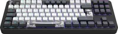 Obrázek produktu pro Dark Project DPKB_BUSHIDO_87_ISO, Kabel, USB, Mechanický spínač, QWERTZ, RGB LED, Černá