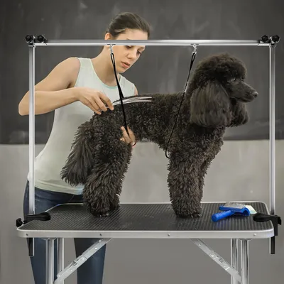 Produktbild von YZNAHRE Trimmtisch für Hunde Katzen 113x60x174cm Tierpflegetisch Höhenverstellbar Hundepflegetisch mit Unterkorb & Schlingen Haustier Schertisch Klappbar Pflegetisch Katzepflegetisch bis 100kg