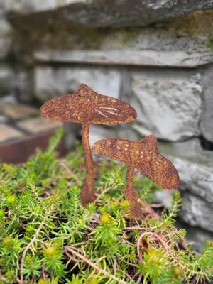 Produktbild von Edelrost Fliegenpilze Svampa, 2er Set