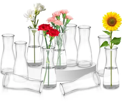 12 kleine Glasvasen, transparent, rund, 6x4x14 cm