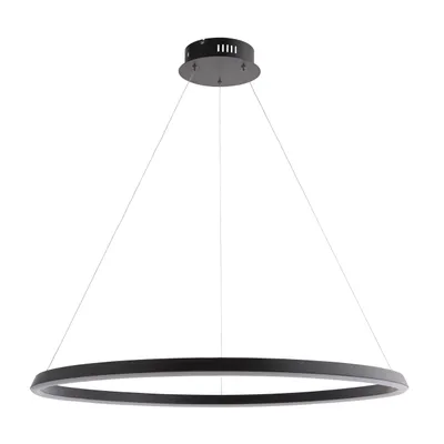A black ring-shaped pendant light hangs from thin wires against a white background.