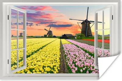 Produktbild von MuchoWow® Poster Aussicht - Sonnenuntergang - Tulpen 90x60 cm - Schlafzimmer