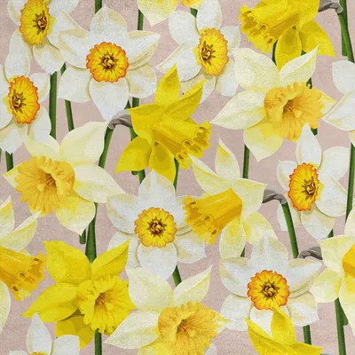 Image de Royal Velvet Tissu Polyester A coudre - Motif Narcisse 2