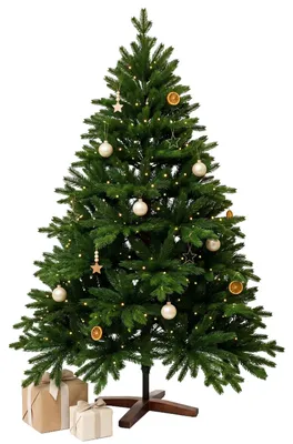 Immagine prodotto di Albero di Natale NORDMANN LED 120 in polietilene verde 97x120 cm