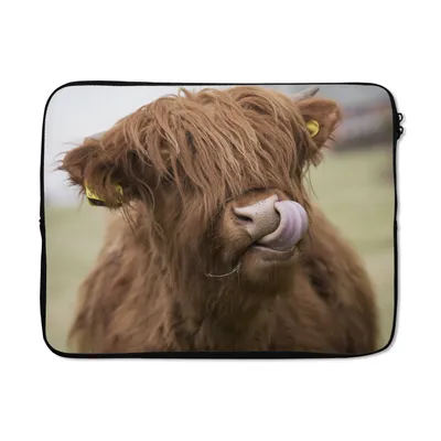 Produktbild von MuchoWow® Laptop Hülle 17 Zoll Laptoptasche Schottischer Highlander - Braun - Tiere - Zipper - Schutzabdeckung
