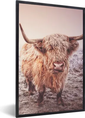 Produktbild von MuchoWow® Gerahmtes Poster Schottische Highlander - Schnee - Sonne 40x60 cm - Poster mit Schwarzem Bilderrahmen Wandposter Rahmen Foto Bilder - Papierdruck - Wandbilder