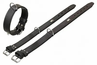 Produktbild von Karlie Rondo Halsband mit Ring für Adresstube - Schwarz - 55cm/35mm