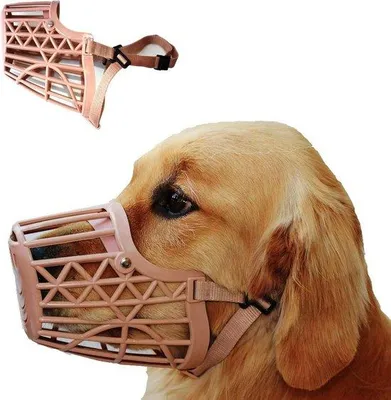 Image de Muselière pour chien, taille 6, beige, circonférence 33 cm