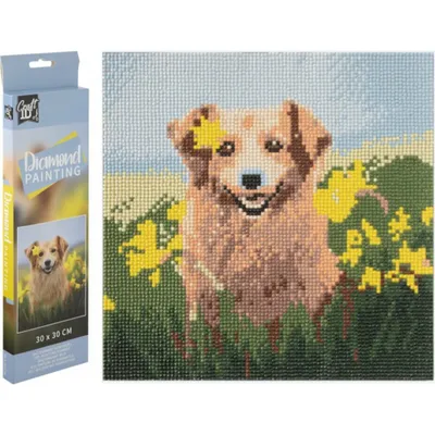 Obrázek produktu pro GRAFIX diamantový obraz pes v narcisu 30x30cm