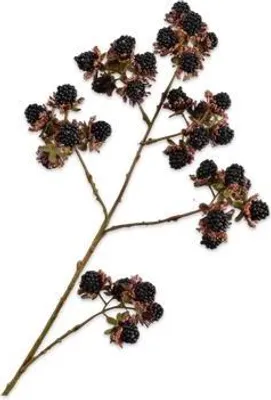 Produktbild von Silk-ka Kunstblume - Seidenblume - Brombeerzweig schwarz-braun 78 cm