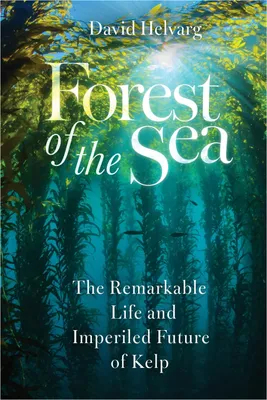 Produktbild von Forest of the Sea