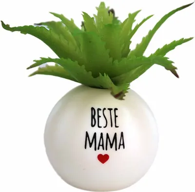 Zdjęcie produktu dla Mała roślina dekoracyjna z tworzywa sztucznego „Najlepsza mama” – ok. 8 cm