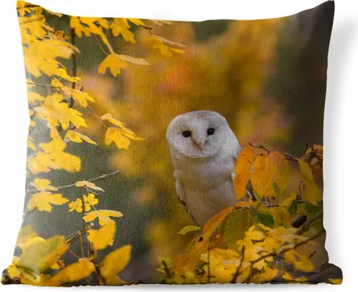 Produktbild von MuchoWow® Outdoor Kissen - Vogel - Eule - Herbst - 60x60 cm - Wetterfest - Lounge Kissen - Dekoration - Schlaf Kissen