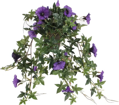 Produktbild von Mica Decorations Petunien hängend in Blumentopf Stan - L50 x T45 x H25 cm - Dunkelviolett