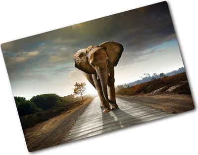 Produktbild von Tulup Glas Herdabdeckplatte - 80x52 cm - Glaskeramikkochfeld-Abdeckung Spritzschutz Glasabdeckplatte - Einteilig - Tiere - Elefant - Braun