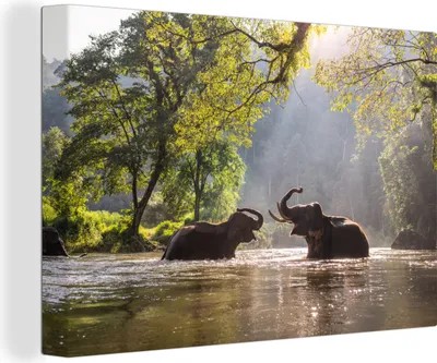 Produktbild von MuchoWow® - Leinwandbilder - Elefanten in der Sonne spielen, Wandbild, Wanddeko Bilder Wohnzimmer, 30x20 cm