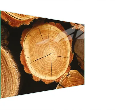 Image de Planche à découper Plaque de cuisson multi-verre 30x22 cm bois brun