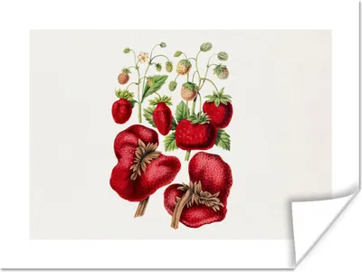 Produktbild von MuchoWow® Poster Erdbeere - Lebensmittel - Pflanze 120x90 cm - Wandbild