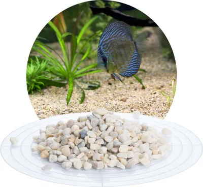 Produktbild von Schicker Mineral-Aquariumkies beige 25 kg-5,6-8,0mm