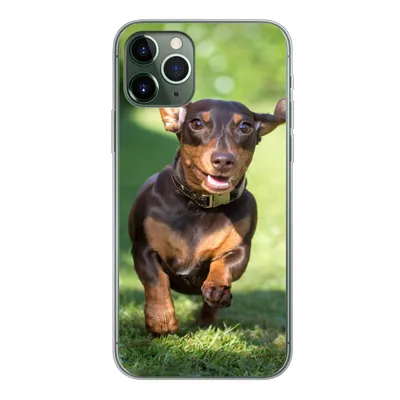 Produktbild von MuchoWow® Handyhülle Schutzhülle Hülle für iPhone 11 Pro Ein sprintender Dackel Silikon Softcase Handy Hülle - Handy