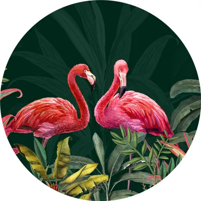 Produktbild von Sticker Kreis FLAMINGOS tropische Blätter Pflanzen Tiere Dschungel Natur Wohnzimmer Büro Wandtattoo Aufkleber 100 cm x 100 cm