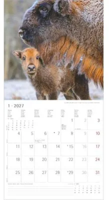 Image de Tierbabys 2027