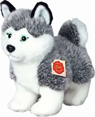 A plush toy husky dog standing on a white background.