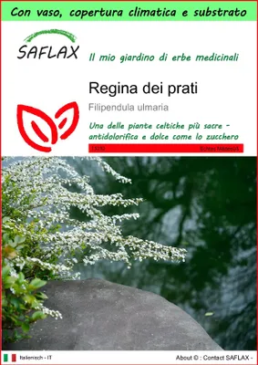 Immagine prodotto di SAFLAX Garden to go - Regina dei prati - 500 semi - Filipendula