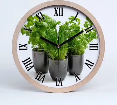 Produktbild von Holzuhr 25fi cm wanduhr - schwarze Spitzen - Kräuter in Töpfen